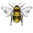 The Bee Charmer